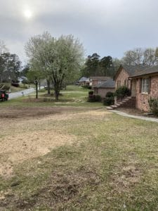 trees removed from front of house