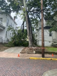 before dangerous limb removal