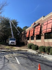 Tree trimming at Applebees