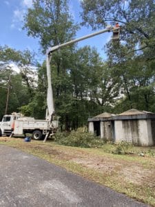Tree trimming at lake tobesofkee