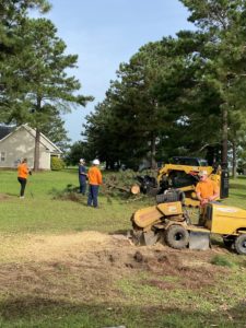 stump grinder grinding a stump