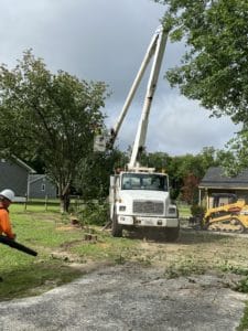 trimming limbs in a bucket truck