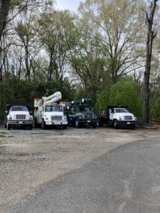 Bradley Tree Works Trucks