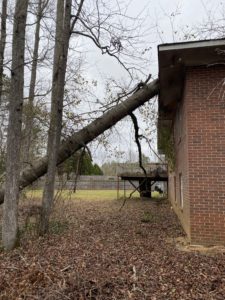 Tree fallen on house