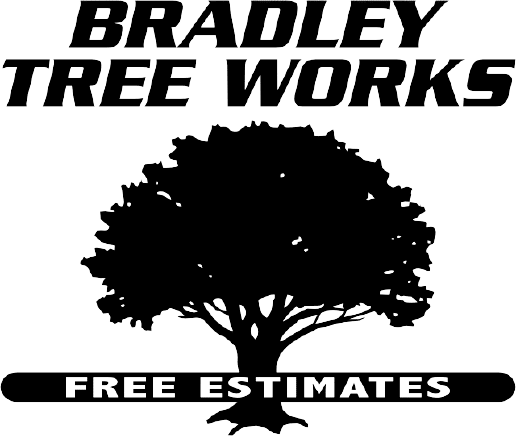 bradley tree works logo with phone number